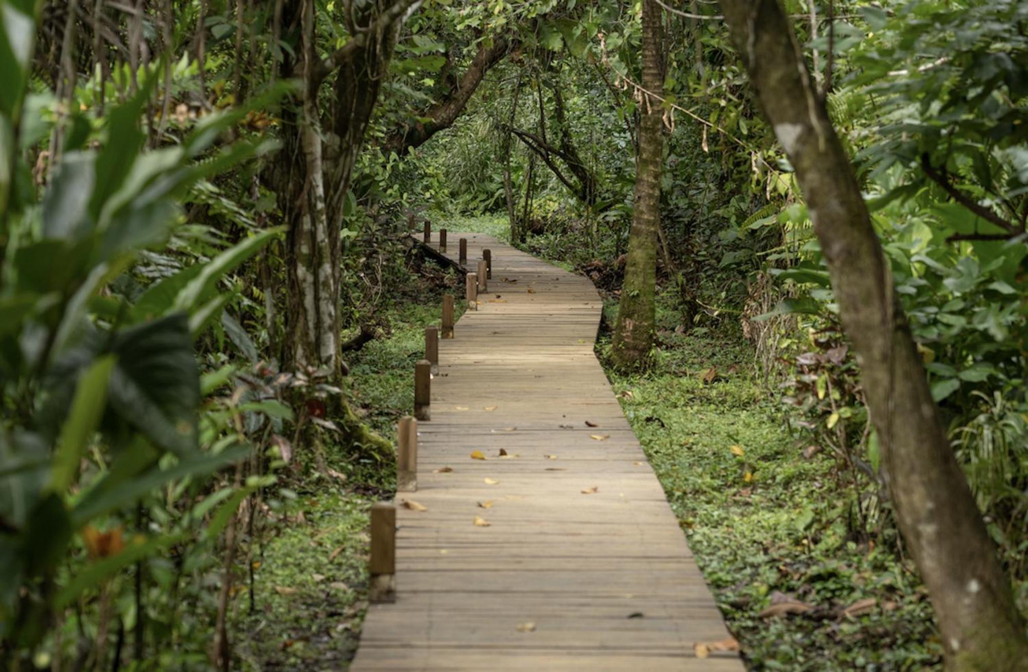 Casa Cayuco Eco-Adventure Lodge Bocas del Toro Extérieur photo
